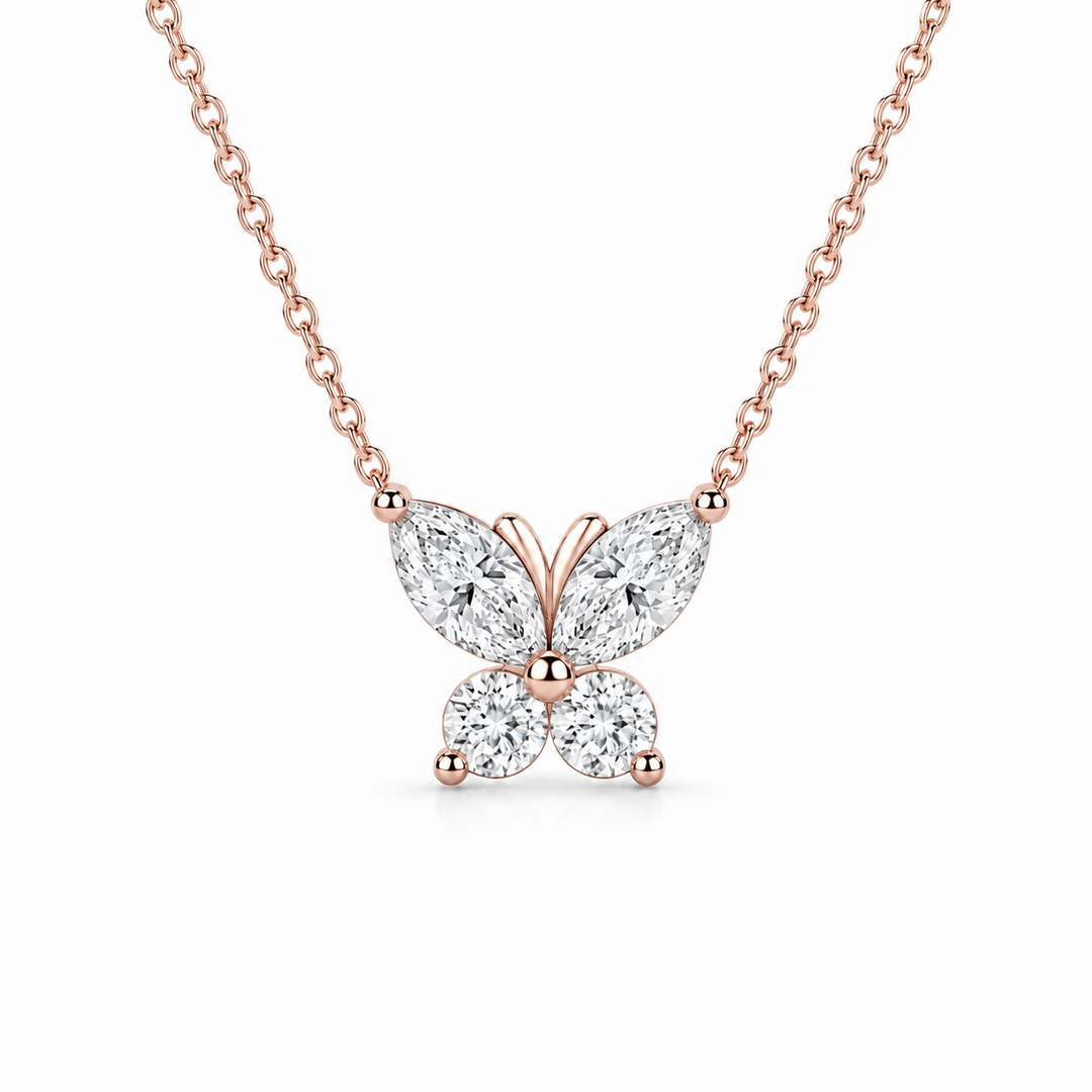 The Jardin Butterfly