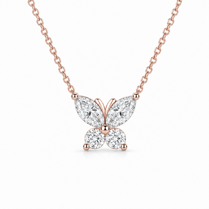The Jardin Butterfly