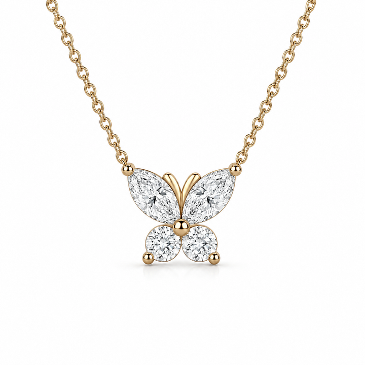 The Jardin Butterfly