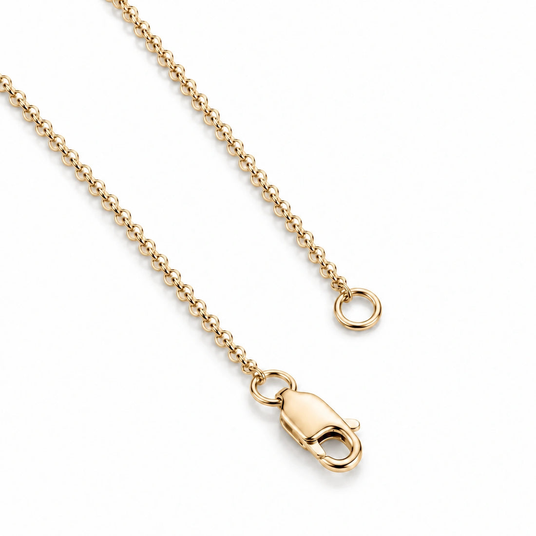 Chain and clasp detail, yellow gold