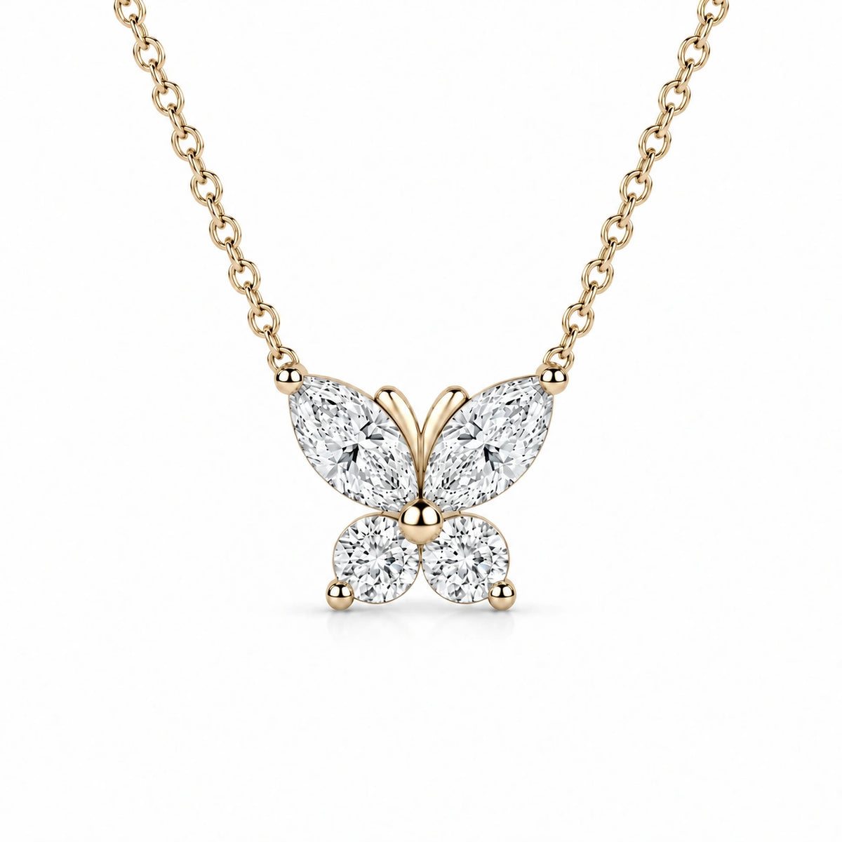 The Jardin Butterfly