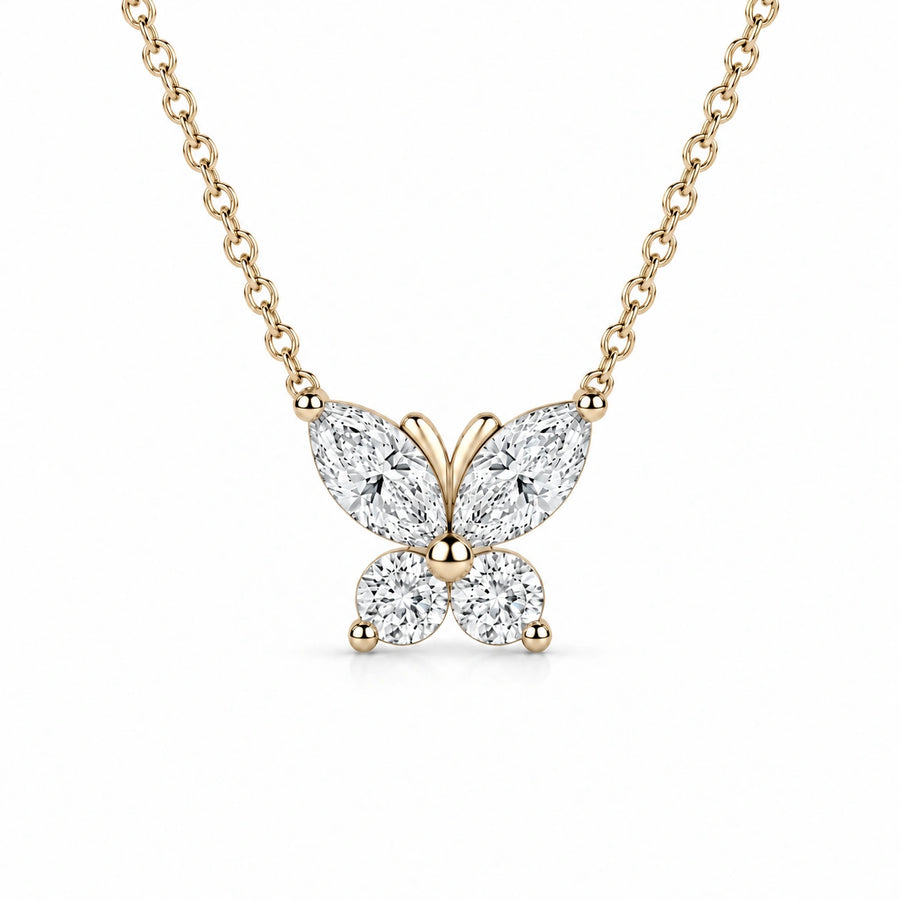 The Jardin Butterfly