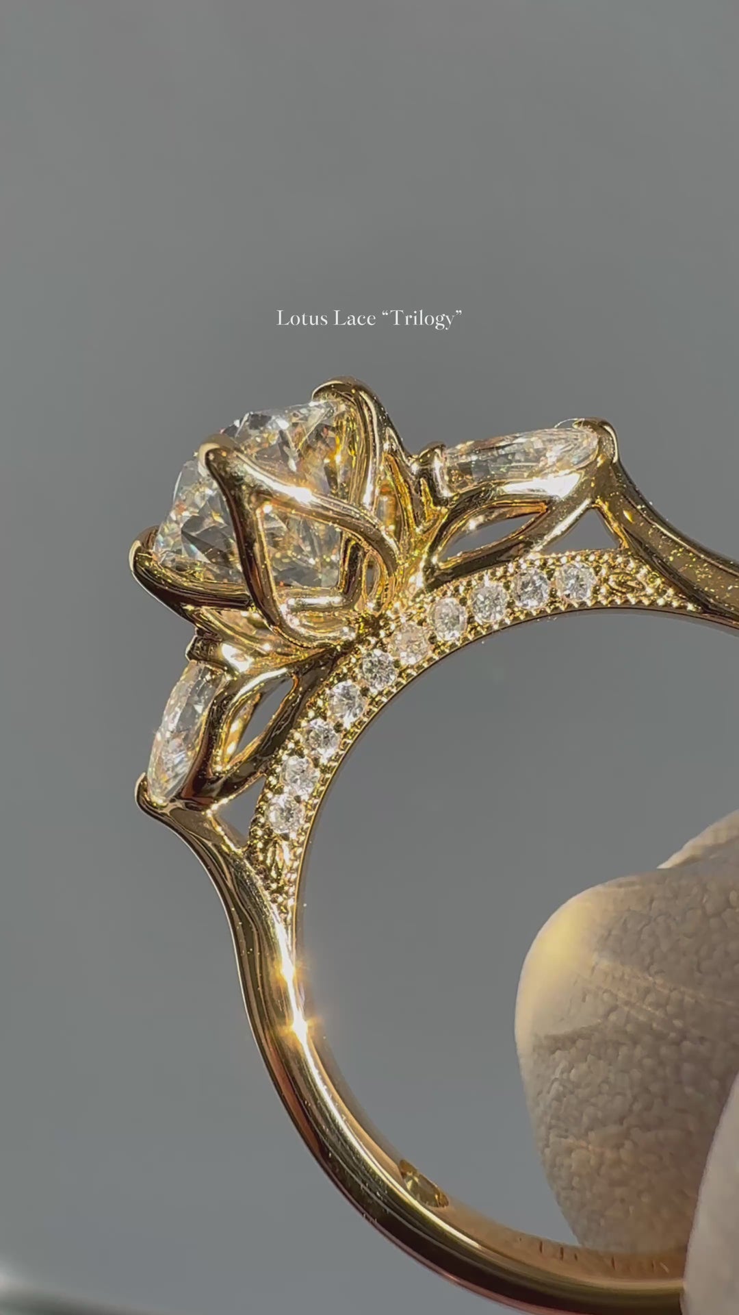 Lotus Lace Trilogy